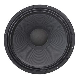 Sound Prince 15 Inches Naked Speaker