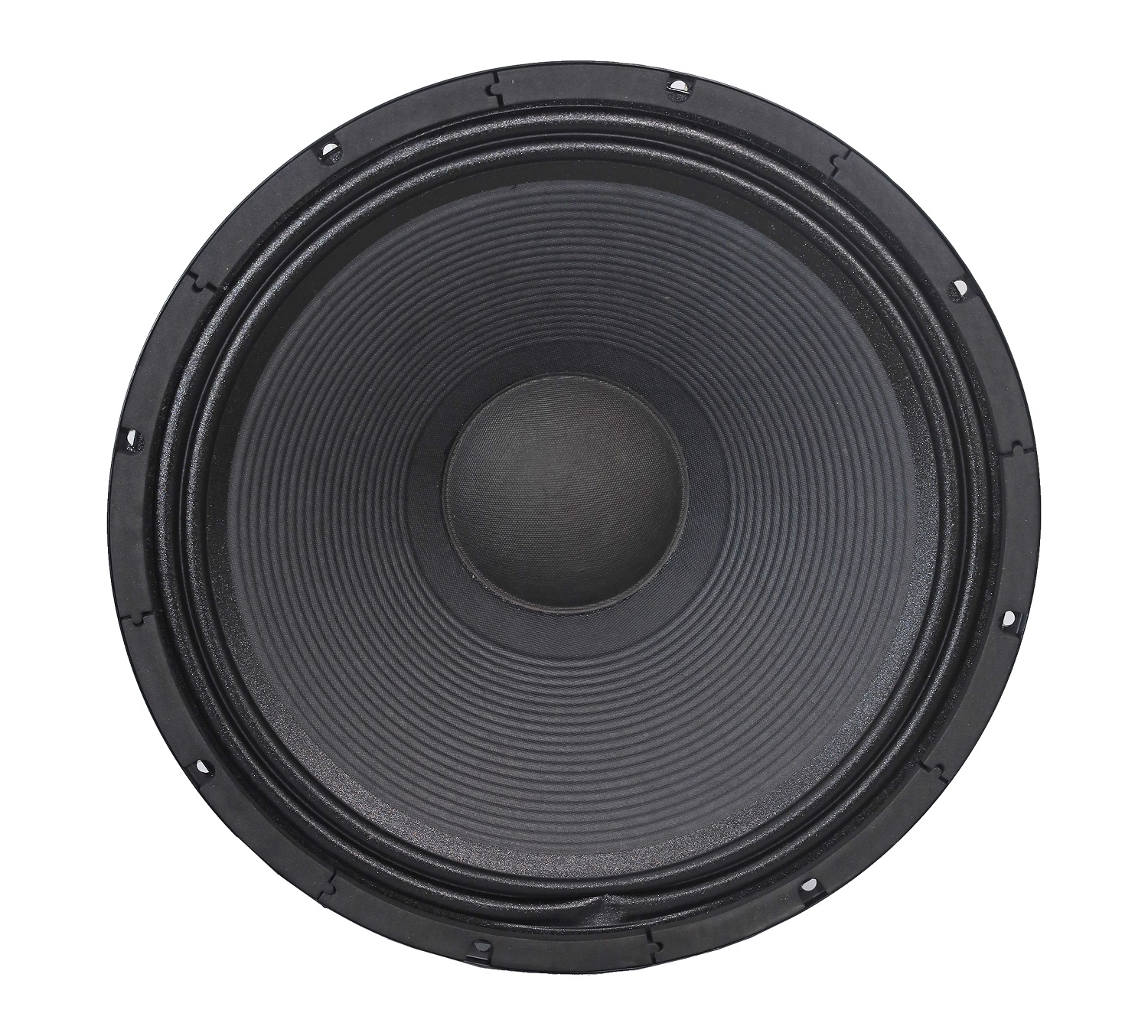 Sound Prince 15 Inches Naked Speaker