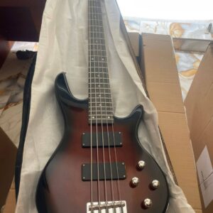 Fender 5 Strings Bass Guitar – Professional Electric Bass – 5 String